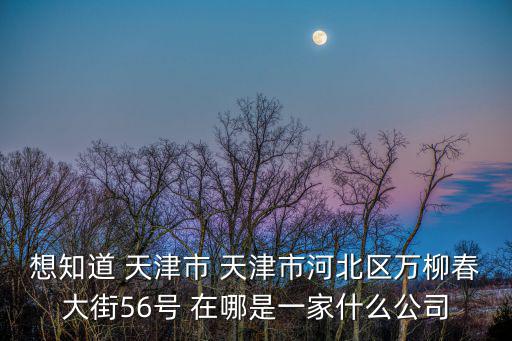 想知道 天津市 天津市河北區(qū)萬柳春大街56號(hào) 在哪是一家什么公司