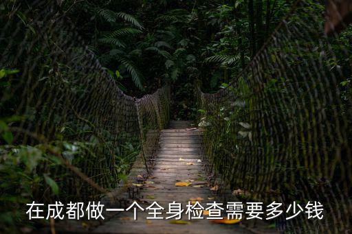 在成都做一個(gè)全身檢查需要多少錢