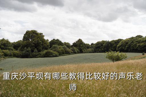 重慶沙平壩有哪些教得比較好的聲樂老師