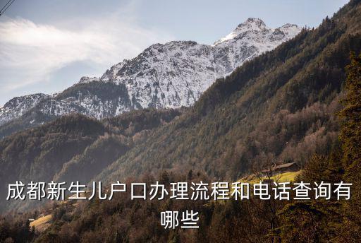 成都新生兒戶口辦理流程和電話查詢有哪些