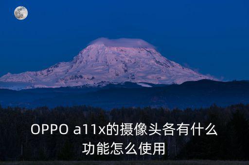 天津市第四十五中學攝像頭，OPPO a11x的攝像頭各有什么功能怎么使用