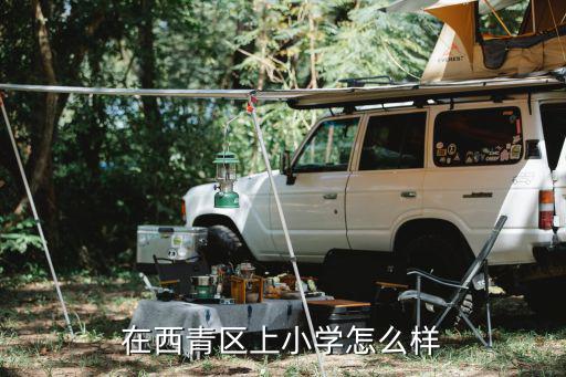 天津市西青區(qū)育英小學(xué)的校操，天津市西青區(qū)育英幼兒園是公立園嗎