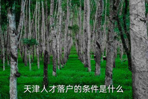 天津人才落戶的條件是什么