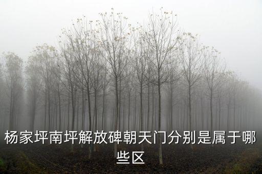 楊家坪南坪解放碑朝天門分別是屬于哪些區