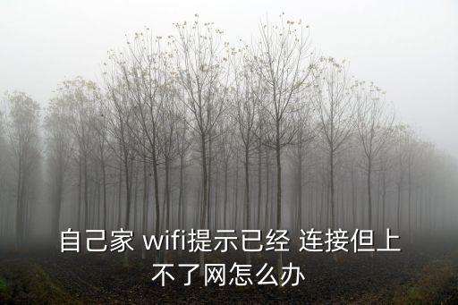 自己家 wifi提示已經 連接但上不了網怎么辦