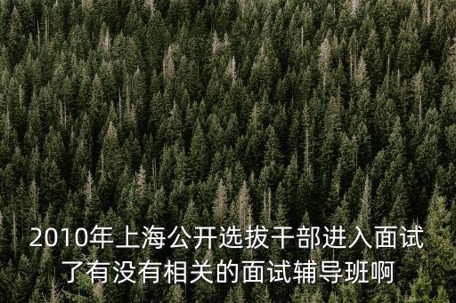 2010年上海公開選拔干部進入面試了有沒有相關的面試輔導班啊