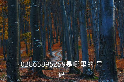 02865895259是哪里的 號碼