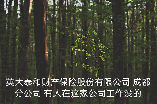 英大泰和財產保險股份有限公司 成都分公司 有人在這家公司工作沒的