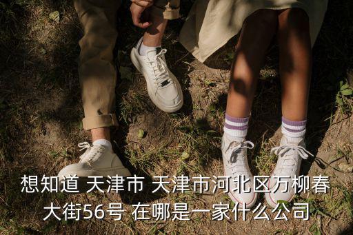 想知道 天津市 天津市河北區(qū)萬柳春大街56號 在哪是一家什么公司