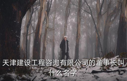 天津建設(shè)工程咨詢有限公司的董事長(zhǎng)叫什么名字