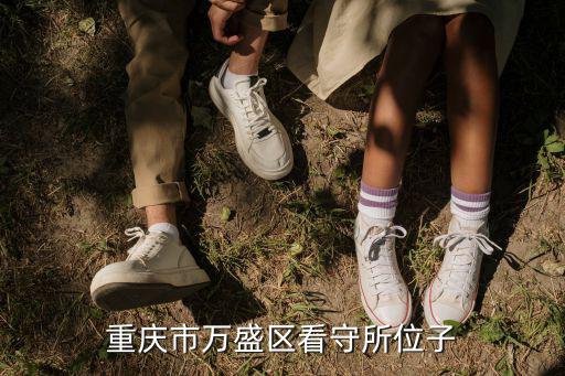 重慶市萬盛區張小剛，重慶市萬盛區青年鎮鎮長是誰叫什么名字