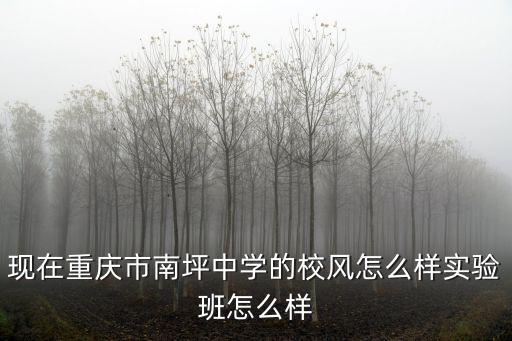 現在重慶市南坪中學的校風怎么樣實驗班怎么樣