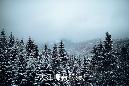天津哪有服裝廠