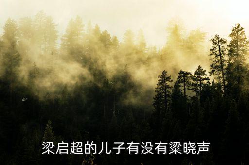  梁啟超的兒子有沒有粱曉聲