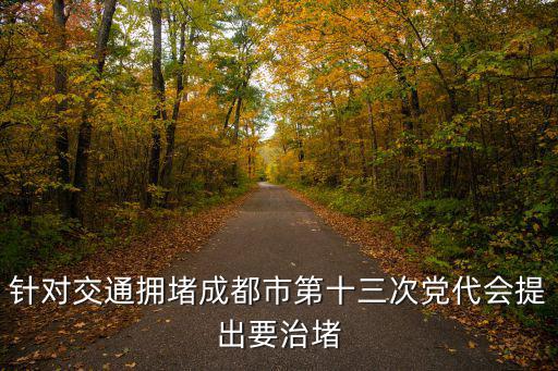 成都市治堵辦是做什么，針對交通擁堵成都市第十三次黨代會提出要治堵
