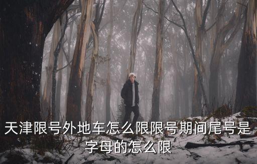 天津限號外地車怎么限限號期間尾號是字母的怎么限
