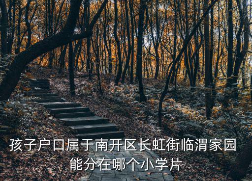 孩子戶口屬于南開區長虹街臨渭家園 能分在哪個小學片