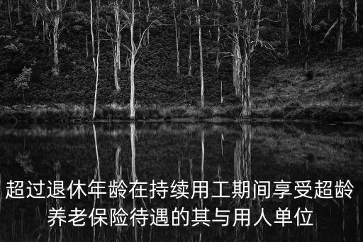 超過退休年齡在持續用工期間享受超齡養老保險待遇的其與用人單位