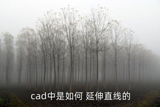  cad中是如何 延伸直線的