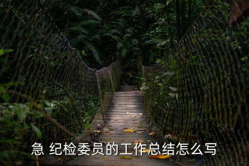 急 紀(jì)檢委員的工作總結(jié)怎么寫