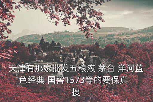 天津有那家批發五糧液 茅臺 洋河藍色經典 國窖1573等的要保真  搜