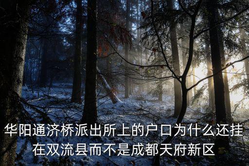 成都市華陽通濟橋派出所，華陽派出所上下班作息時間實行早九晚五嗎