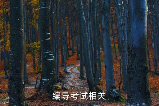 編導(dǎo)考試相關(guān)
