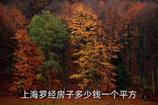 上海羅經房子多少錢一個平方