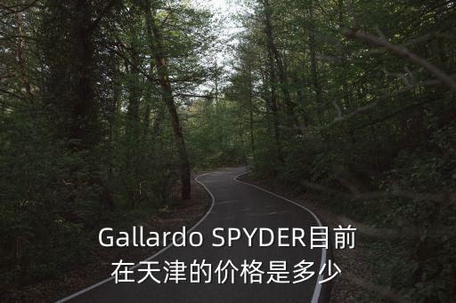 天津市跨越煙的價格，Gallardo SPYDER目前在天津的價格是多少