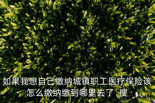 如果我想自己繳納城鎮職工醫療保險該怎么繳納繳到哪里去了  搜