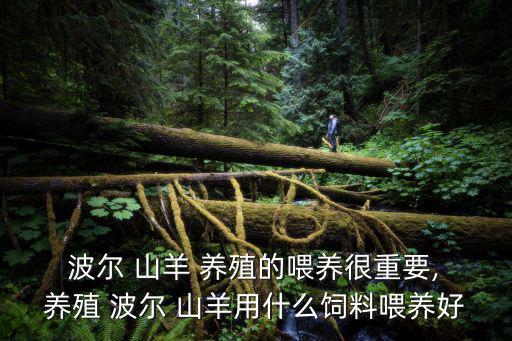  波爾 山羊 養(yǎng)殖的喂養(yǎng)很重要, 養(yǎng)殖 波爾 山羊用什么飼料喂養(yǎng)好