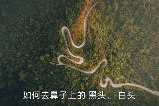如何去鼻子上的 黑頭、 白頭