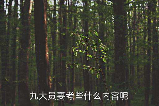 九大員要考些什么內容呢