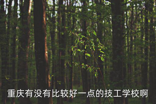 重慶有沒有比較好一點的技工學(xué)校啊