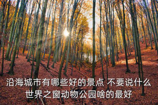 天津市金門之窗幕墻安裝有限公司，沿海城市有哪些好的景點 不要說什么世界之窗動物公園啥的最好