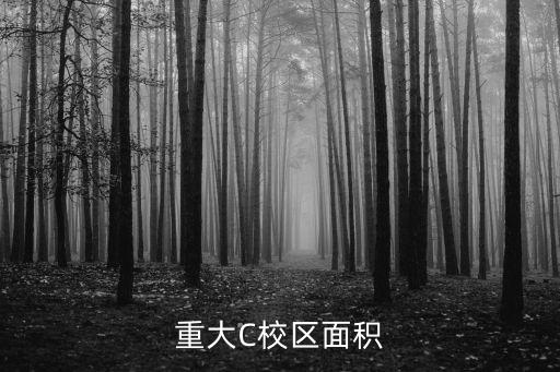 重大C校區面積