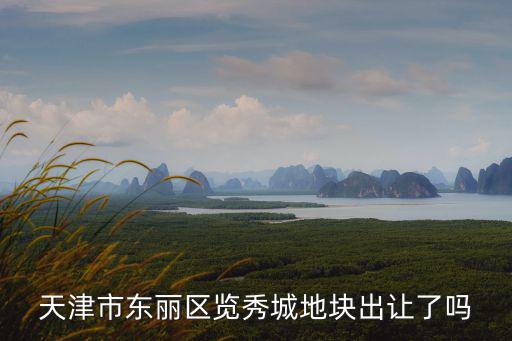 天津市東麗區覽秀城地塊出讓了嗎