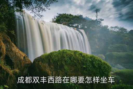 成都市環境科學學會到雙豐路，成都晚上10點下班后坐公交怎么從火車南站到雙豐路
