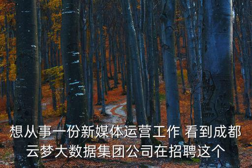 想從事一份新媒體運營工作 看到成都云夢大數(shù)據(jù)集團公司在招聘這個