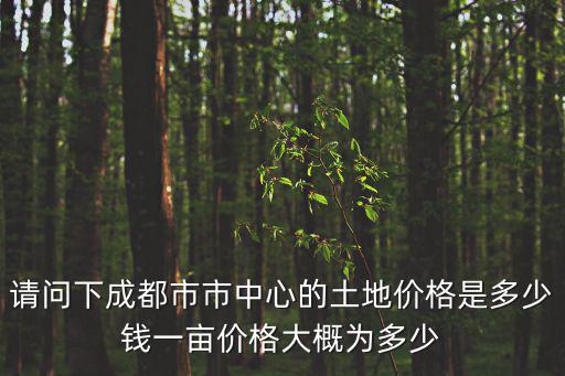 請問下成都市市中心的土地價格是多少錢一畝價格大概為多少