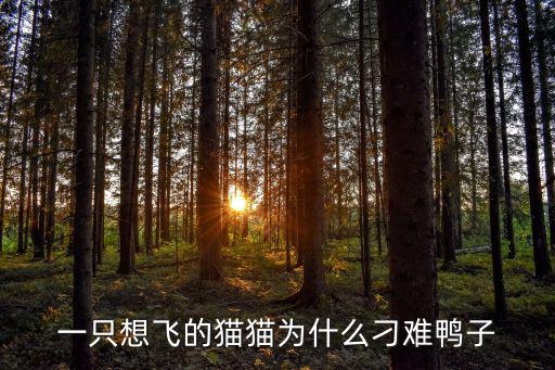 一只想飛的貓貓為什么刁難鴨子