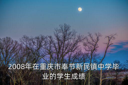 重慶市奉節縣新民鎮石黃村，2008年在重慶市奉節新民鎮中學畢業的學生成績