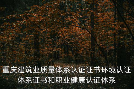 重慶建筑業質量體系認證證書環境認證體系證書和職業健康認證體系