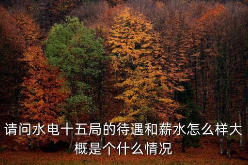 請問水電十五局的待遇和薪水怎么樣大概是個什么情況