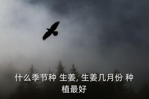 什么季節種 生姜, 生姜幾月份 種植最好