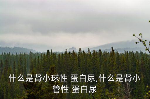 什么是腎小球性 蛋白尿,什么是腎小管性 蛋白尿