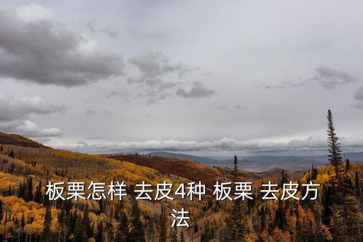  板栗怎樣 去皮4種 板栗 去皮方法