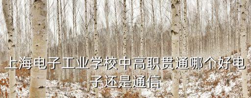 上海電子工業學校中高職貫通哪個好電子還是通信