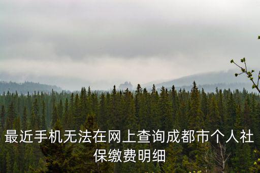 最近手機無法在網上查詢成都市個人社保繳費明細
