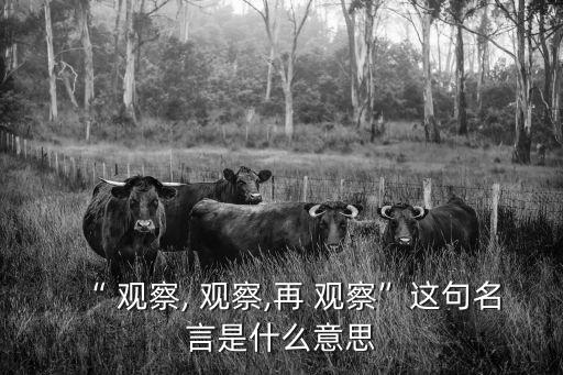 “ 觀察, 觀察,再 觀察”這句名言是什么意思